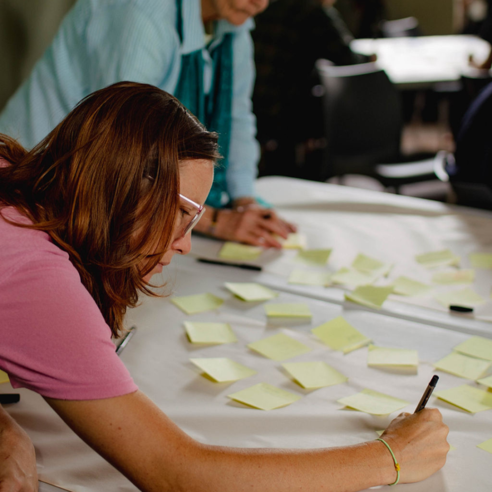 4 Lenses Visioning | Centre for Ecological Learning